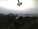 ./images/calvert/lookout/20210921/lookout20210921_121502.jpg