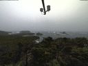./images/calvert/lookout/20210921/lookout20210921_135502.jpg