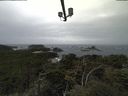 ./images/calvert/lookout/20210923/lookout20210923_122502.jpg