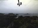 ./images/calvert/lookout/20210925/lookout20210925_190502.jpg