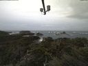 ./images/calvert/lookout/20211001/lookout20211001_083501.jpg