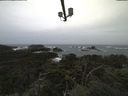 ./images/calvert/lookout/20211001/lookout20211001_100002.jpg
