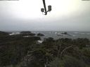 ./images/calvert/lookout/20211001/lookout20211001_100502.jpg