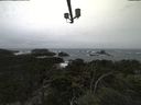 ./images/calvert/lookout/20211001/lookout20211001_105501.jpg