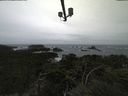 ./images/calvert/lookout/20211001/lookout20211001_114502.jpg