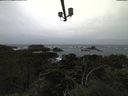./images/calvert/lookout/20211001/lookout20211001_124501.jpg