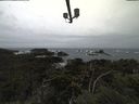 ./images/calvert/lookout/20211001/lookout20211001_131002.jpg
