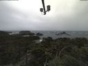 ./images/calvert/lookout/20211001/lookout20211001_171002.jpg