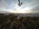 ./images/calvert/lookout/20211003/lookout20211003_081002.jpg