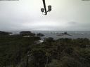 ./images/calvert/lookout/20211004/lookout20211004_094501.jpg