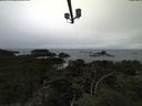 ./images/calvert/lookout/20211004/lookout20211004_154002.jpg