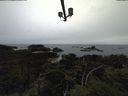 ./images/calvert/lookout/20211004/lookout20211004_161002.jpg
