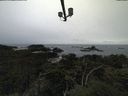 ./images/calvert/lookout/20211004/lookout20211004_171501.jpg