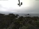./images/calvert/lookout/20211005/lookout20211005_135501.jpg