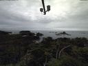 ./images/calvert/lookout/20211005/lookout20211005_145002.jpg