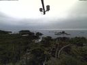 ./images/calvert/lookout/20211005/lookout20211005_160502.jpg