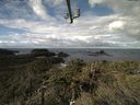 ./images/calvert/lookout/20211006/lookout20211006_104501.jpg