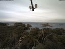 ./images/calvert/lookout/20211007/lookout20211007_081002.jpg