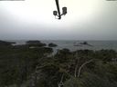 ./images/calvert/lookout/20211007/lookout20211007_151001.jpg