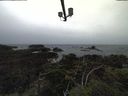 ./images/calvert/lookout/20211007/lookout20211007_162502.jpg