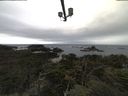 ./images/calvert/lookout/20211008/lookout20211008_091002.jpg