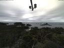 ./images/calvert/lookout/20211008/lookout20211008_105502.jpg