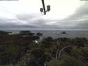 ./images/calvert/lookout/20211008/lookout20211008_155001.jpg