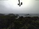 ./images/calvert/lookout/20211009/lookout20211009_091001.jpg