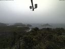 ./images/calvert/lookout/20211009/lookout20211009_093501.jpg