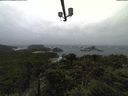 ./images/calvert/lookout/20211009/lookout20211009_095002.jpg