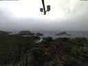 ./images/calvert/lookout/20211009/lookout20211009_100002.jpg