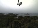 ./images/calvert/lookout/20211009/lookout20211009_100502.jpg