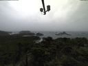 ./images/calvert/lookout/20211009/lookout20211009_101002.jpg