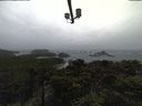 ./images/calvert/lookout/20211009/lookout20211009_103501.jpg
