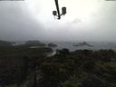 ./images/calvert/lookout/20211009/lookout20211009_104501.jpg
