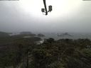 ./images/calvert/lookout/20211009/lookout20211009_114502.jpg