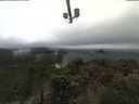 ./images/calvert/lookout/20211009/lookout20211009_132002.jpg