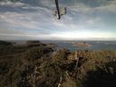 ./images/calvert/lookout/20211011/lookout20211011_094501.jpg