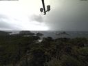./images/calvert/lookout/20211012/lookout20211012_135502.jpg