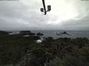 ./images/calvert/lookout/20211014/lookout20211014_101502.jpg