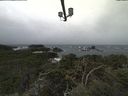 ./images/calvert/lookout/20211014/lookout20211014_121002.jpg