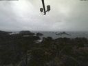 ./images/calvert/lookout/20211014/lookout20211014_124002.jpg