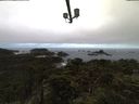 ./images/calvert/lookout/20211016/lookout20211016_081002.jpg