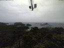 ./images/calvert/lookout/20211016/lookout20211016_134502.jpg