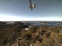 ./images/calvert/lookout/20211017/lookout20211017_123502.jpg