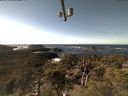 ./images/calvert/lookout/20211017/lookout20211017_135501.jpg