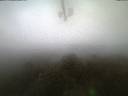 ./images/calvert/lookout/20211018/lookout20211018_074002.jpg