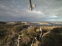 ./images/calvert/lookout/20211019/lookout20211019_091501.jpg