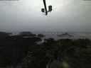 ./images/calvert/lookout/20211020/lookout20211020_074502.jpg