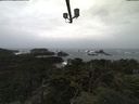 ./images/calvert/lookout/20211020/lookout20211020_092002.jpg